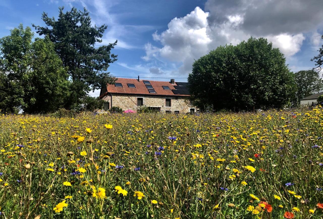 Villa La Souricière Silenrieux Esterno foto
